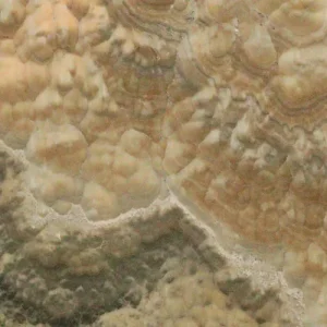 Оникс Onice Landscape