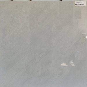Керамогранит X6603P